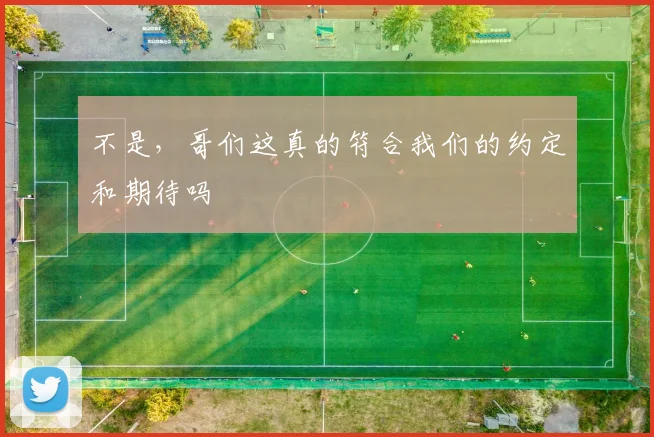 不是，哥们这真的符合我们的约定和期待吗