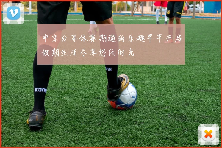 申京分享休赛期遛狗乐趣早早开启假期生活尽享悠闲时光