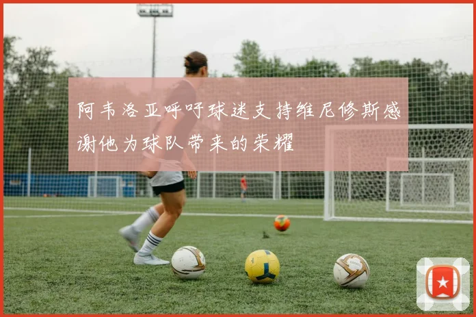 阿韦洛亚呼吁球迷支持维尼修斯感谢他为球队带来的荣耀